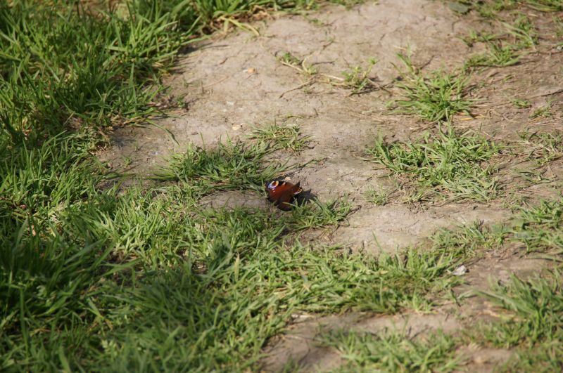 Viewing photos→2015→2015-07-18→36