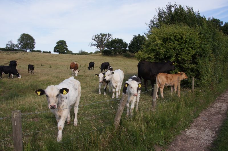 Viewing photos→2015→2015-07-18→39