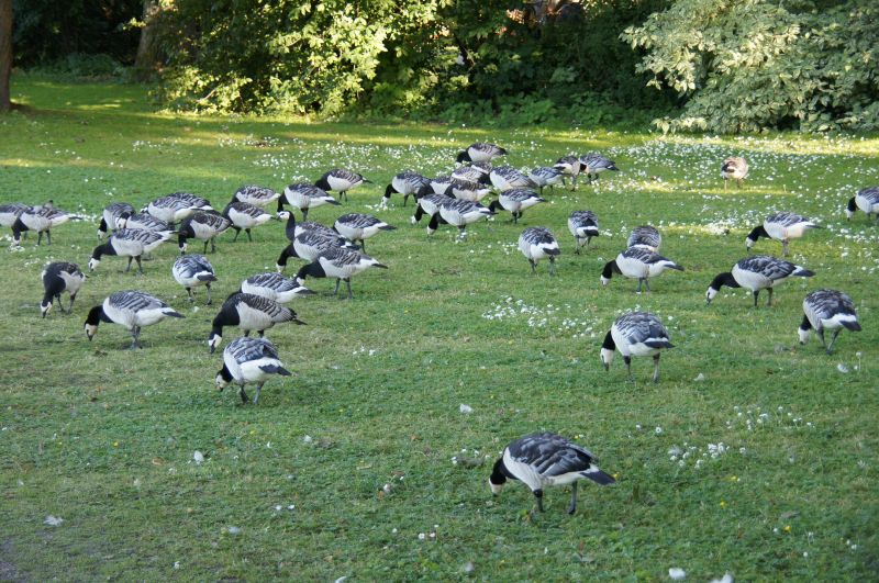 Viewing photos→2015→2015-08-01→48