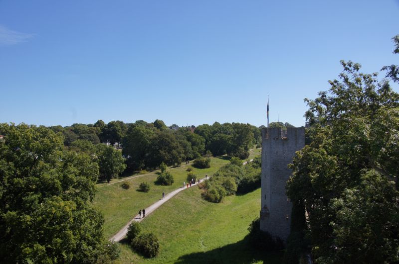 Viewing photos→2015→2015-08-02→062