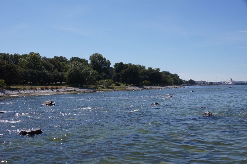 Viewing photos→2015→2015-08-02→065