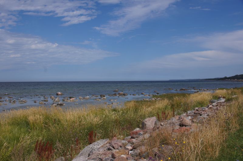 Viewing photos→2015→2015-08-02→134