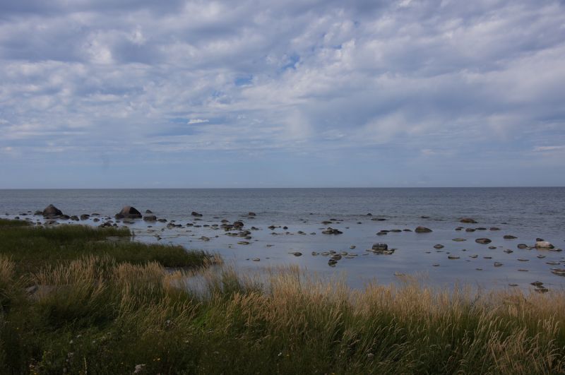 Viewing photos→2015→2015-08-02→135