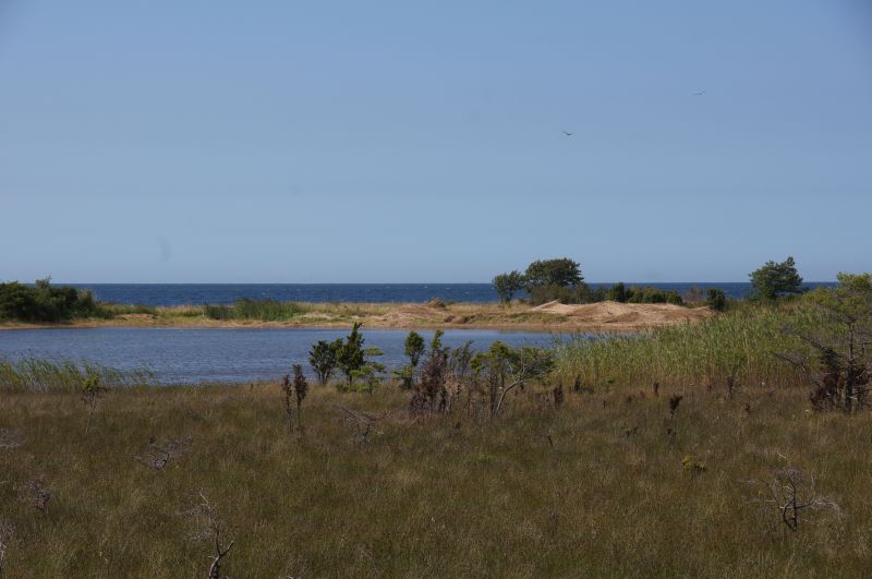 Viewing photos→2015→2015-08-02→145