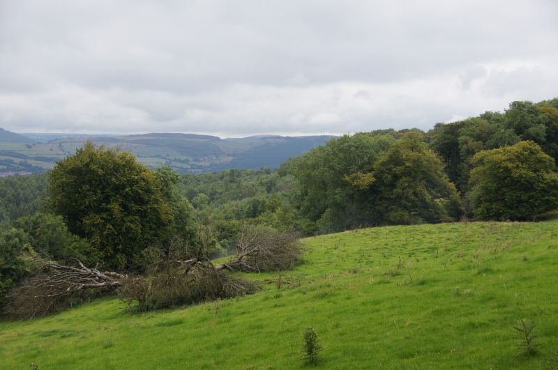 Viewing photos→2015→2015-08-13→061