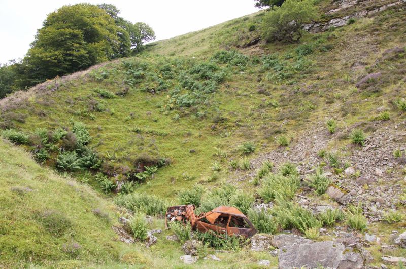 Viewing photos→2015→2015-08-13→066