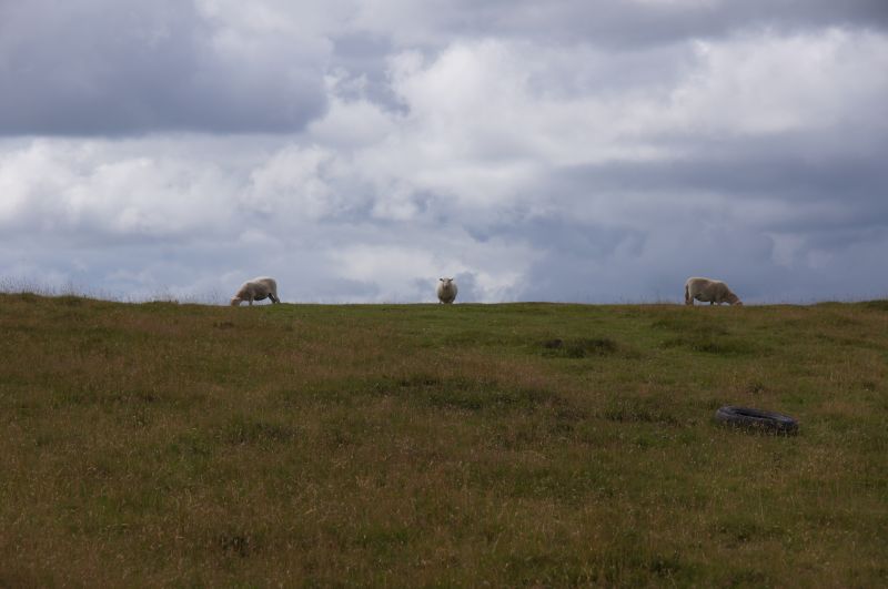 Viewing photos→2015→2015-08-13→075