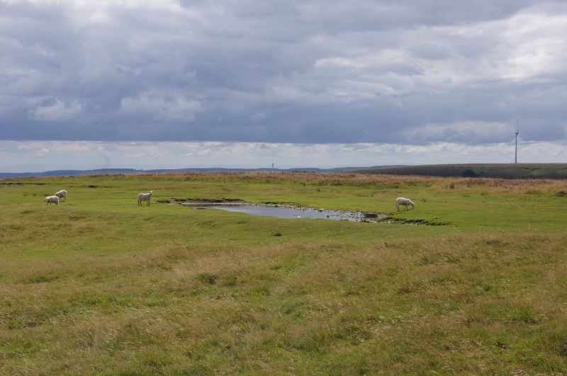 Viewing photos→2015→2015-08-13→076