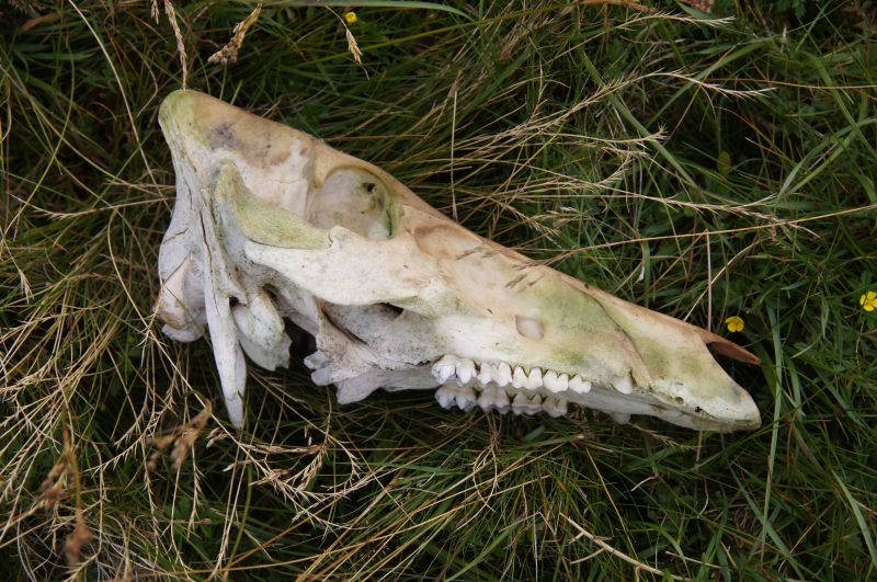 Viewing photos→2015→2015-08-13→096