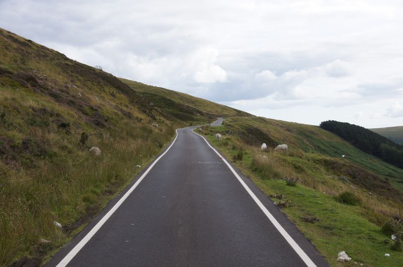 Viewing photos→2015→2015-08-13→099