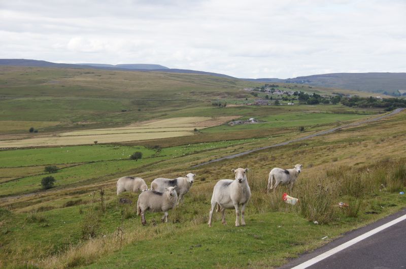 Viewing photos→2015→2015-08-13→100