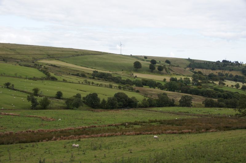 Viewing photos→2015→2015-08-13→103