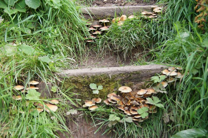 Viewing photos→2015→2015-08-16→14