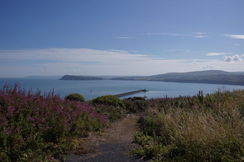 Viewing photos→2015→2015-08-16→36