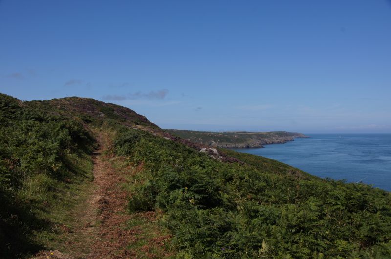 Viewing photos→2015→2015-08-16→39