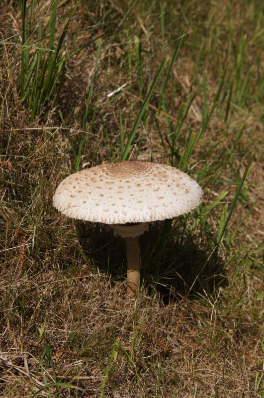 Viewing photos→2015→2015-08-16→49