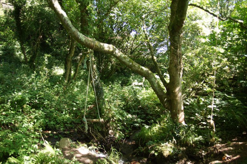 Viewing photos→2015→2015-08-16→51