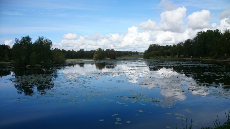 Viewing photos→2015→2015-08-28→30