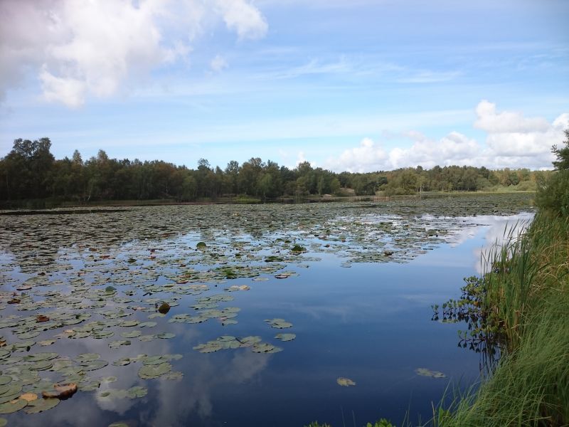 Viewing photos→2015→2015-08-28→31