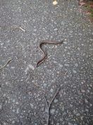 32.jpg - 2015:09:02 10:04:29