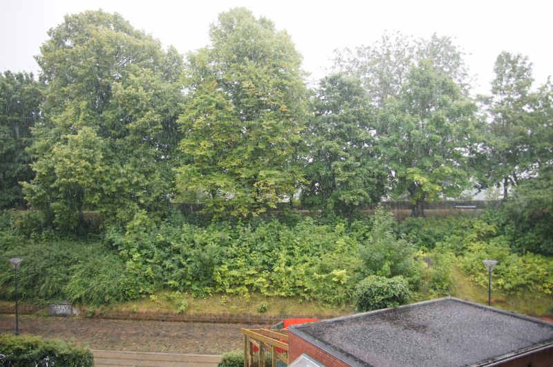 Viewing photos→2015→2015-08-31→01