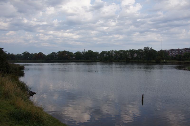 Viewing photos→2015→2015-08-31→03