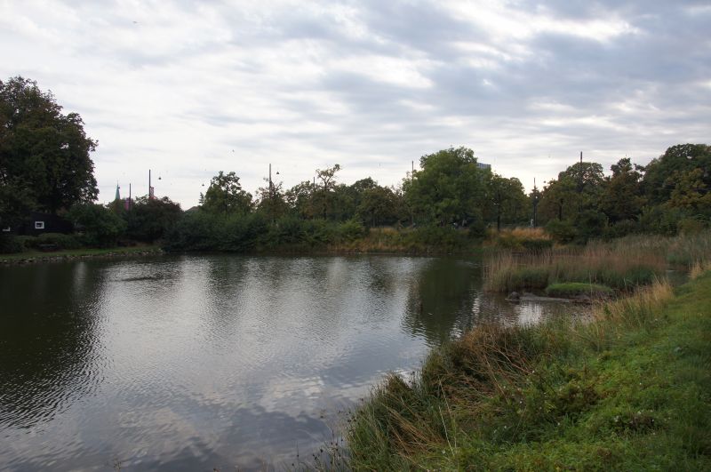 Viewing photos→2015→2015-08-31→04