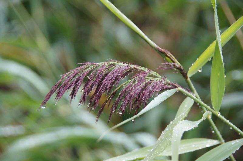 Viewing photos→2015→2015-08-31→06