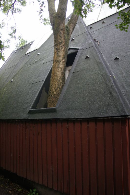 Viewing photos→2015→2015-08-31→17