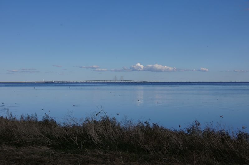 Viewing photos→2015→2015-09-27→09