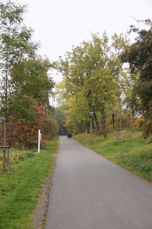 Viewing photos→2015→2015-10-18→03