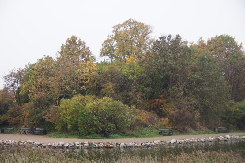 Viewing photos→2015→2015-10-18→04