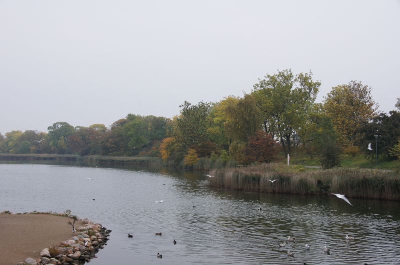 Viewing photos→2015→2015-10-18→05