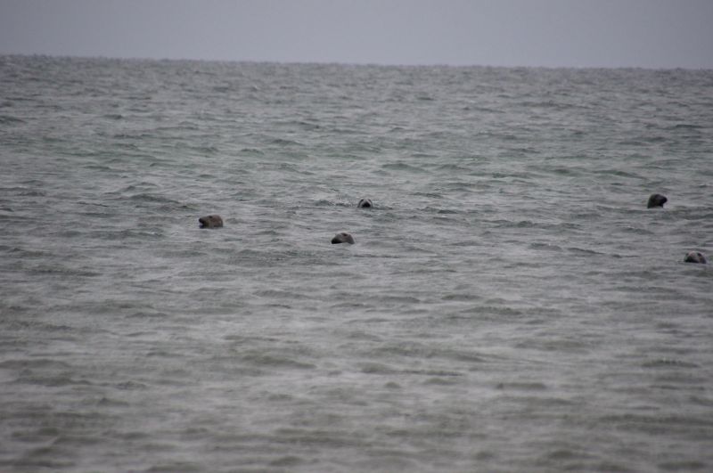 Viewing photos→2015→2015-11-21→08