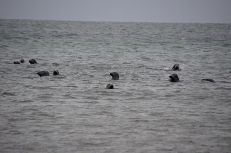 Viewing photos→2015→2015-11-21→09