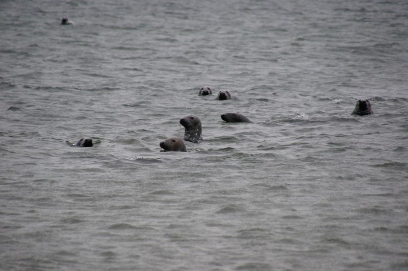 Viewing photos→2015→2015-11-21→11