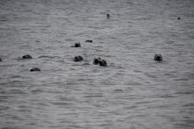 Viewing photos→2015→2015-11-21→14