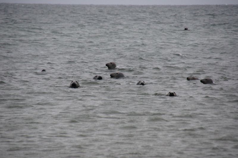 Viewing photos→2015→2015-11-21→15