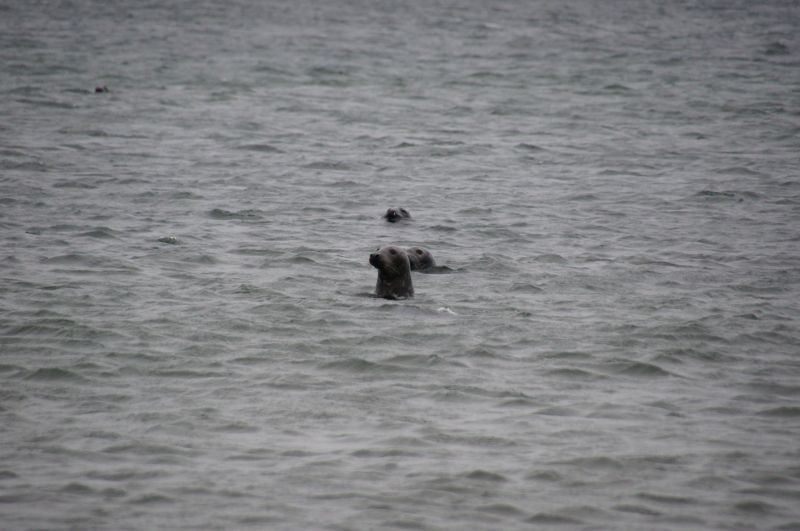 Viewing photos→2015→2015-11-21→19