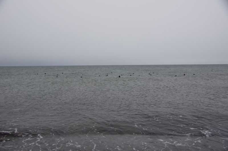 Viewing photos→2015→2015-11-21→22