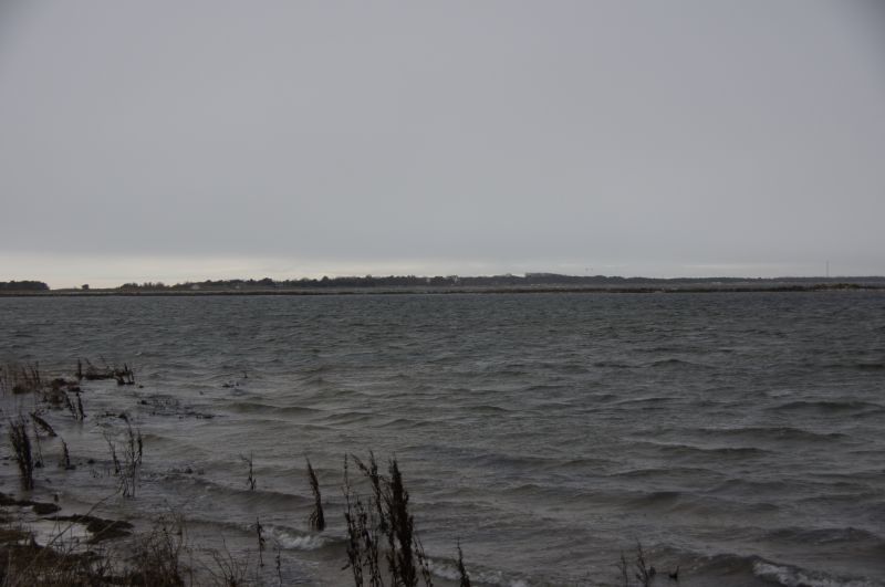 Viewing photos→2015→2015-11-21→27