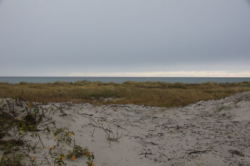 Viewing photos→2015→2015-11-21→28