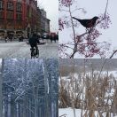 2016-01-06 - 2016-01-24<br/>
<b>Vinter i København</b>
