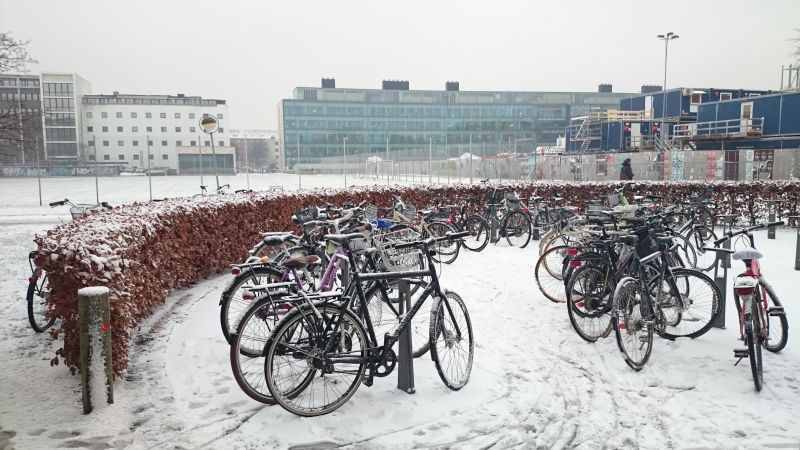 Viewing photos→2016→2016-01-06→03