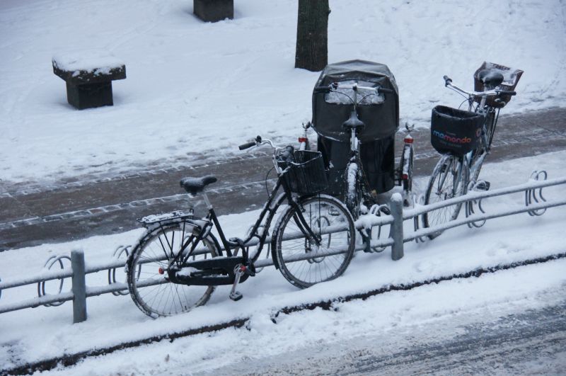 Viewing photos→2016→2016-01-06→05