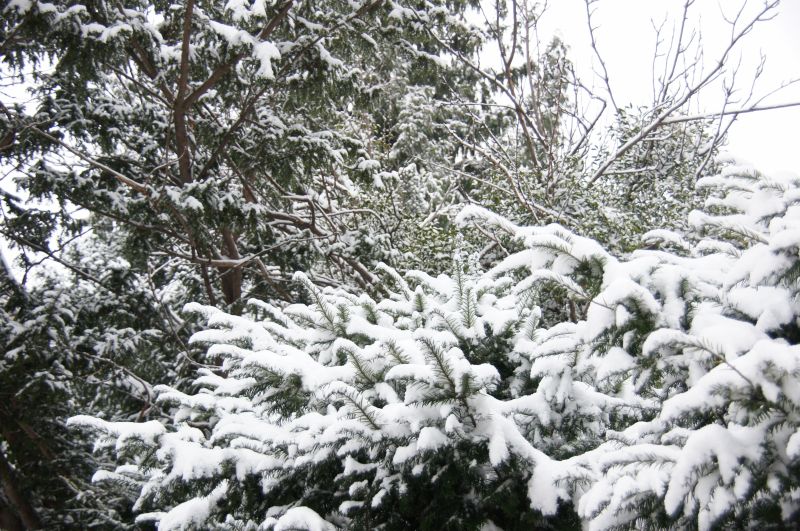 Viewing photos→2016→2016-01-06→22