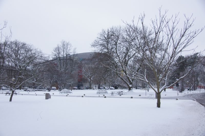 Viewing photos→2016→2016-01-06→32