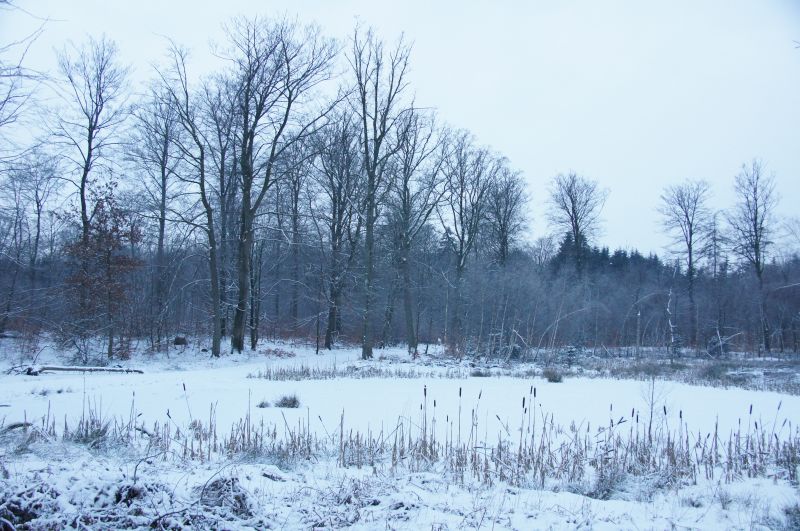 Viewing photos→2016→2016-01-06→39