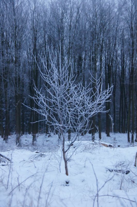 Viewing photos→2016→2016-01-06→45