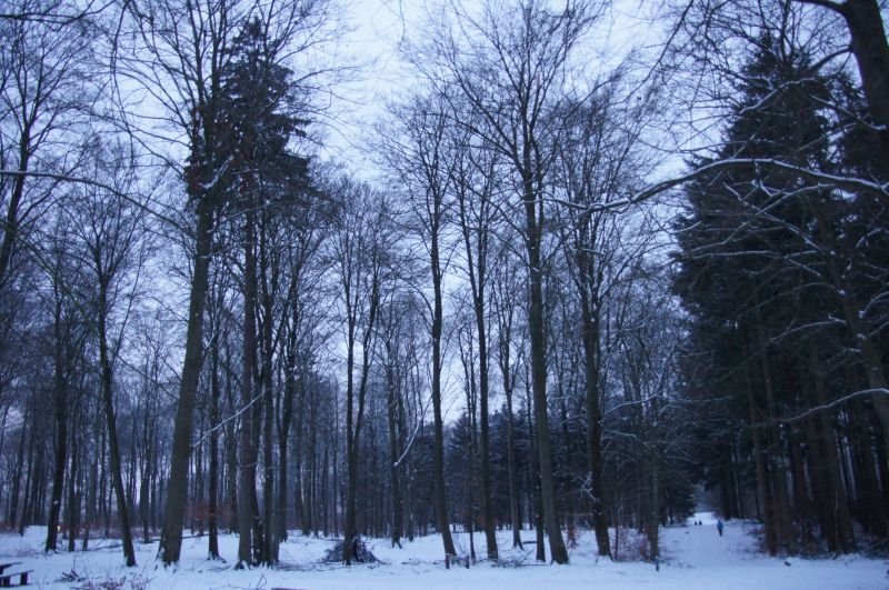 Viewing photos→2016→2016-01-06→47